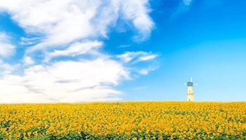 白馬湖向日葵的故事景區(qū)獲批國(guó)家AAAA級(jí)旅游景區(qū)