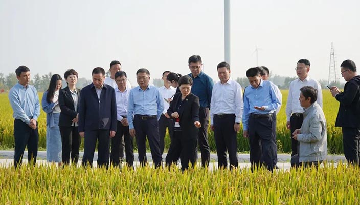 市領(lǐng)導(dǎo)帶隊(duì)調(diào)研全市優(yōu)質(zhì)稻米產(chǎn)業(yè)發(fā)展情況